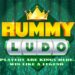 Rummy ludo